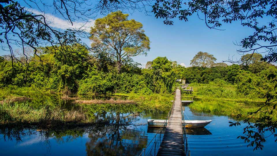 pantanal---blog-turisteiro